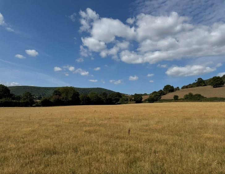 llanviangel cru photo 1.jpg